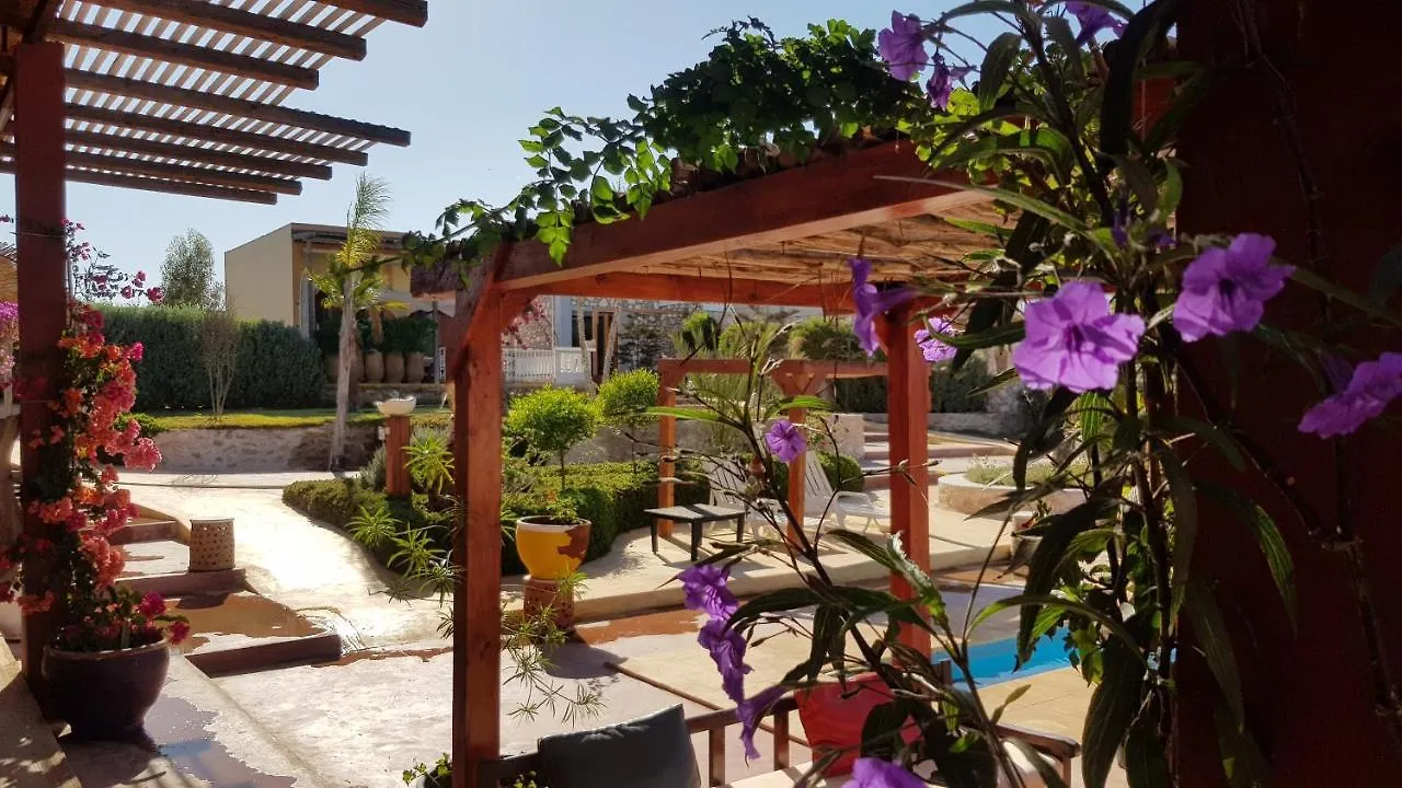 Guest house Terrasses Vertes Essaouira