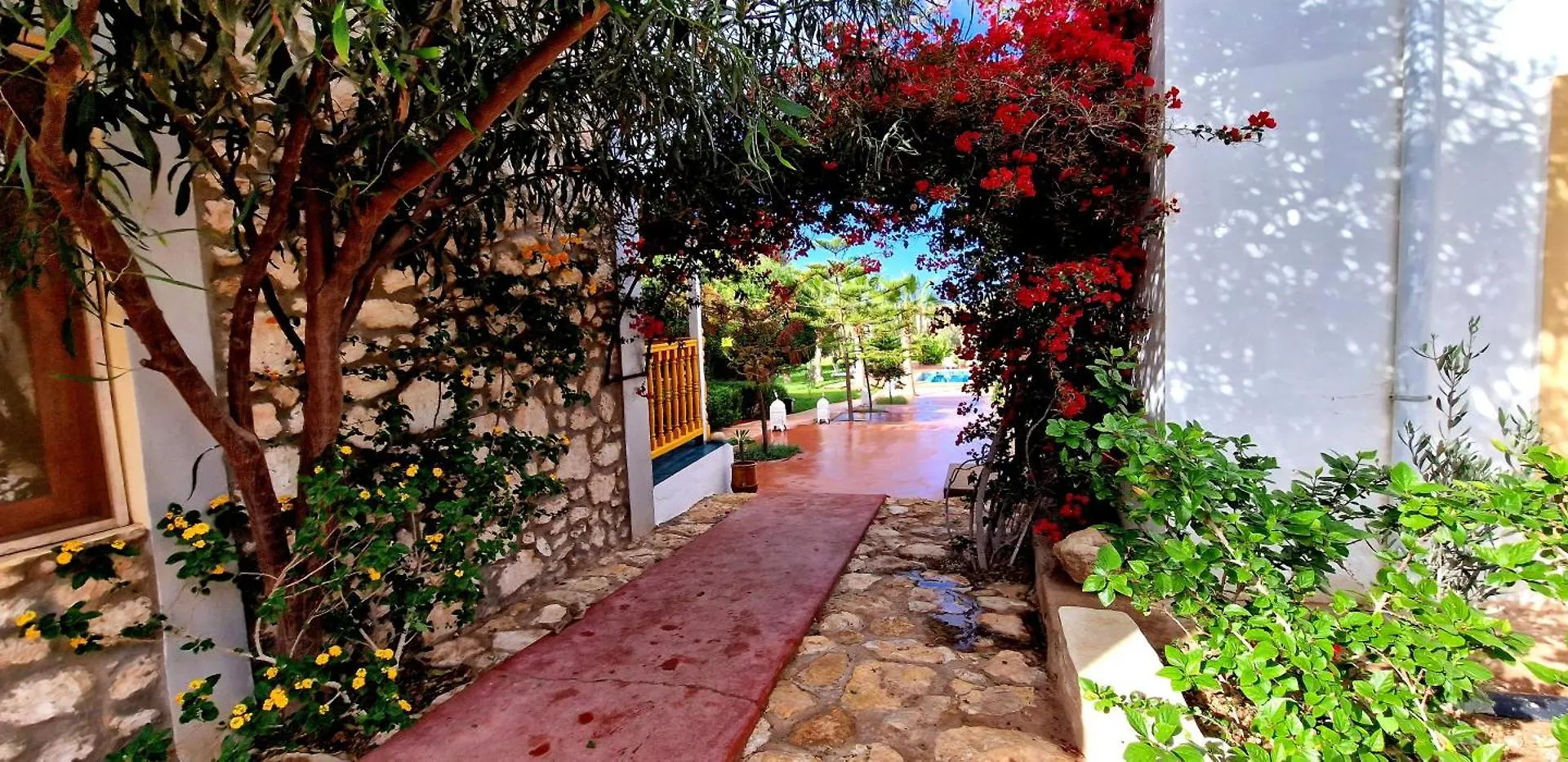 Guest house Terrasses Vertes Essaouira Morocco